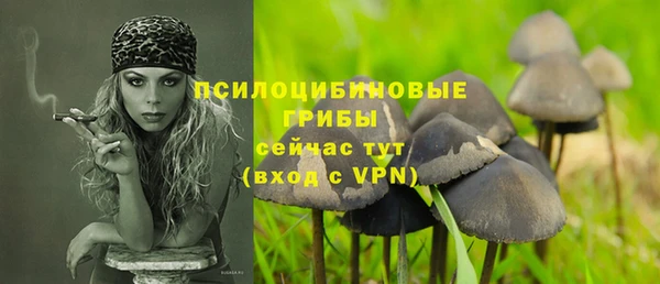 героин Бородино